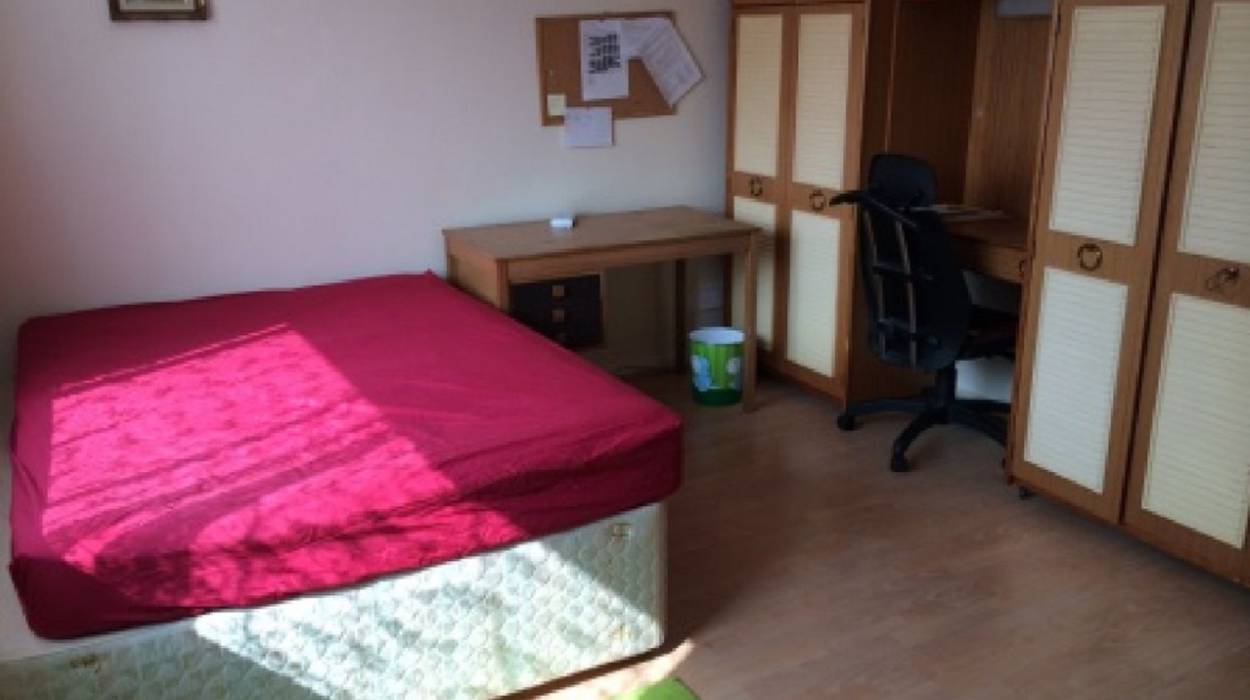 Purple Frog Lettings